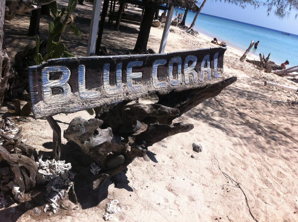Bluecoral Bungalows Gili Meno Ngoại thất bức ảnh